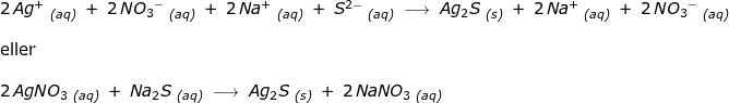 \small \small \begin{array}{llllll} 2\,Ag^+\;_{\textit{(aq)}}\;+\;2\,N{O_3}^-\;_{\textit{(aq)}}\;+\;2\,Na^+\;_{\textit{(aq)}}\;+\;S^{2-}\;_{\textit{(aq)}}\;\longrightarrow \;Ag_2S\;_{\textit{(s)}}\;+\;2\,Na^+\;_{\textit{(aq)}}\;+\;2\,N{O_3}^-\;_{\textit{(aq)}}\\\\ \textup{eller}\\\\ 2\,AgNO_3\;_{\textit{(aq)}}\;+\;Na_2S\;_{\textit{(aq)}}\;\longrightarrow \;Ag_2S\;_{\textit{(s)}}\;+\;2\,NaNO_3\;_{\textit{(aq)}} \end{array}