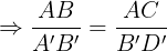 \large \Rightarrow \frac{AB}{A'B'}=\frac{AC}{B'D'}