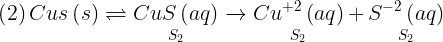 \large \left( 2 \right)Cus\left( s \right) \rightleftharpoons \mathop {CuS\left( {aq} \right)}\limits_{{S_2}} \xrightarrow{{}}\mathop {C{u^{ + 2}}\left( {aq} \right)}\limits_{{S_2}} + \mathop {{S^{ - 2}}\left( {aq} \right)}\limits_{{S_2}}