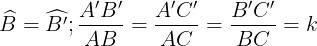 \large \widehat{B}=\widehat{B'};\frac{A'B'}{AB}=\frac{A'C'}{AC}=\frac{B'C'}{BC}=k