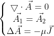 \left\{\begin{matrix} \bigtriangledown \cdot \vec{A}=0\\ \vec{A_1}=\vec{A_2} \\ \Delta \vec{A} = -\mu \vec{J} \end{matrix}\right.