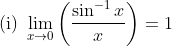 \text { (i) } \lim _{x \rightarrow 0}\left(\frac{\sin ^{-1} x}{x}\right)=1
