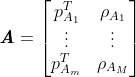 \textbf{\textit{A}} = \begin{bmatrix} p^T_{A_1} & \rho_{A_1} \\ \vdots & \vdots \\ p^T_{A_m} & \rho_{A_M} \end{bmatrix}