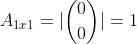 A_{1x1}=|inom{0}{0}|=1